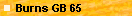 Burns GB 65